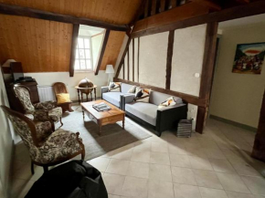 Appartement de charme au pied du Château d'Amboise, centre-ville, 2 chambres, mezzanine, WiFi - FR-1-381-250